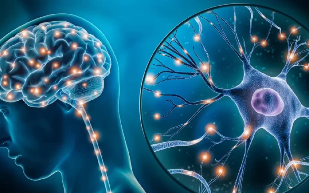 GABA Eksikliği Nedir? GABA Nasıl Arttırılır?