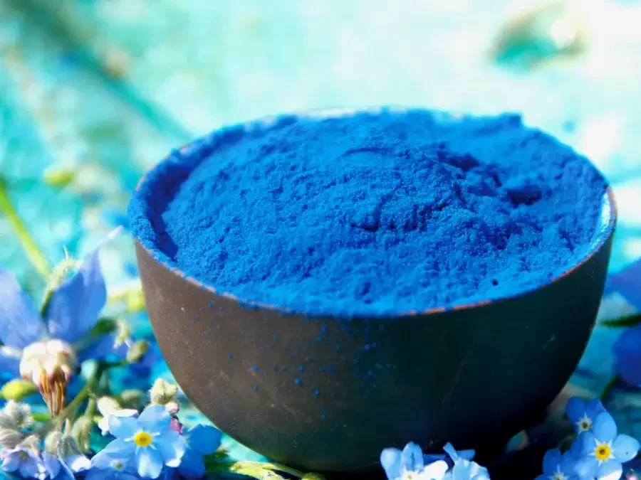 Fikosiyanin ( Phycocyanin) Nedir?