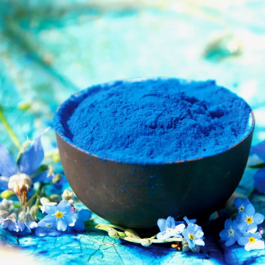 Fikosiyanin ( Phycocyanin) Nedir?