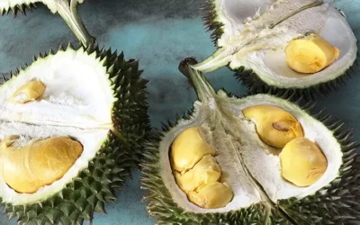 Durian Meyvesi Neden Yasak?