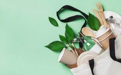 Sıfır Atık Nedir? Sıfır Atık Projesi Neler Yapılır?