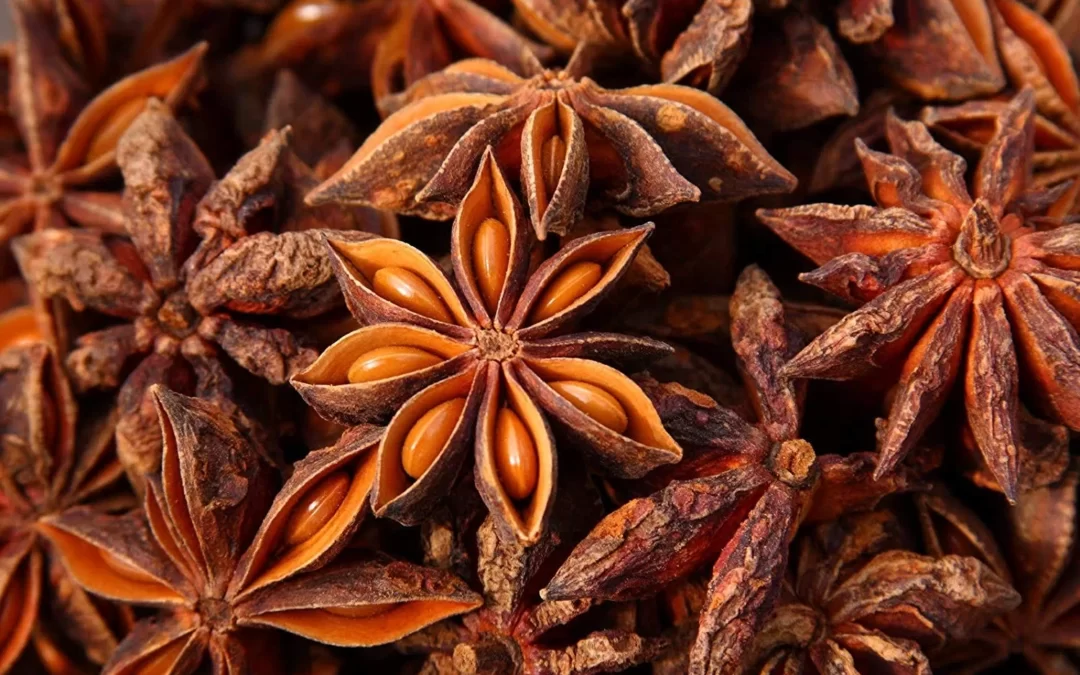 Şikimik Asit Nedir, Hangi Bitkilerde Bulunur?