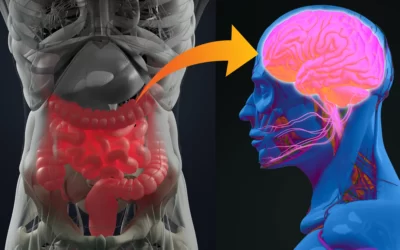 Alzheimer Bağırsak Sağlığı İlişkisi