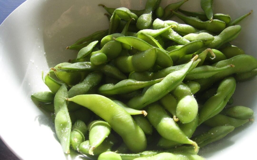 edamame faydaları edamame zararları