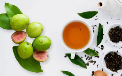 Guava Yaprağı Faydaları Neler? Guava yaprağı Çayı Nasıl Yapılır?