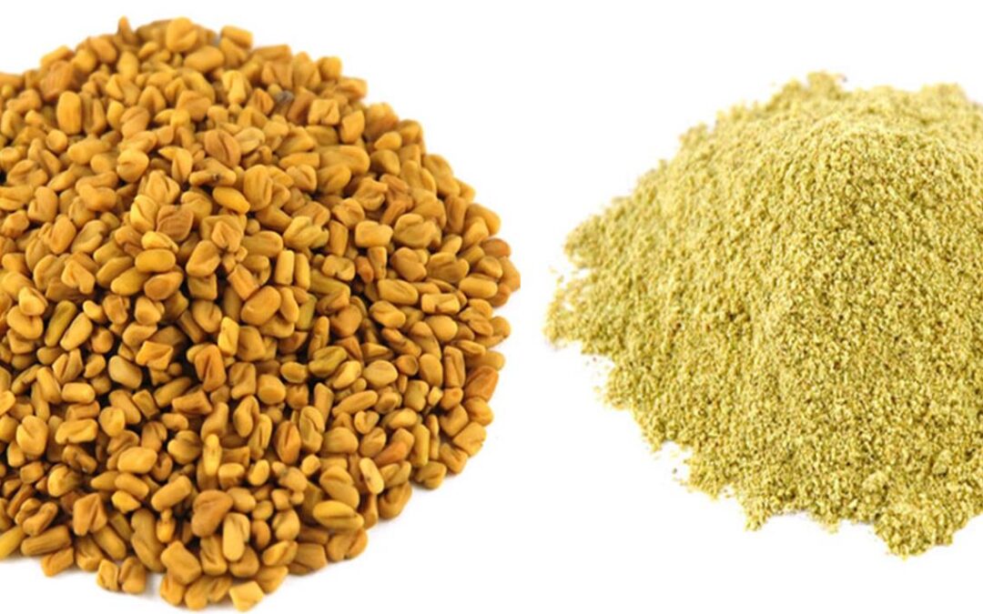 Methi Tozu Nedir? Nasıl Kullanılır?