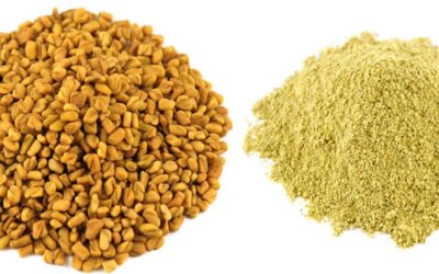 Methi Tozu Nedir? Nasıl Kullanılır?