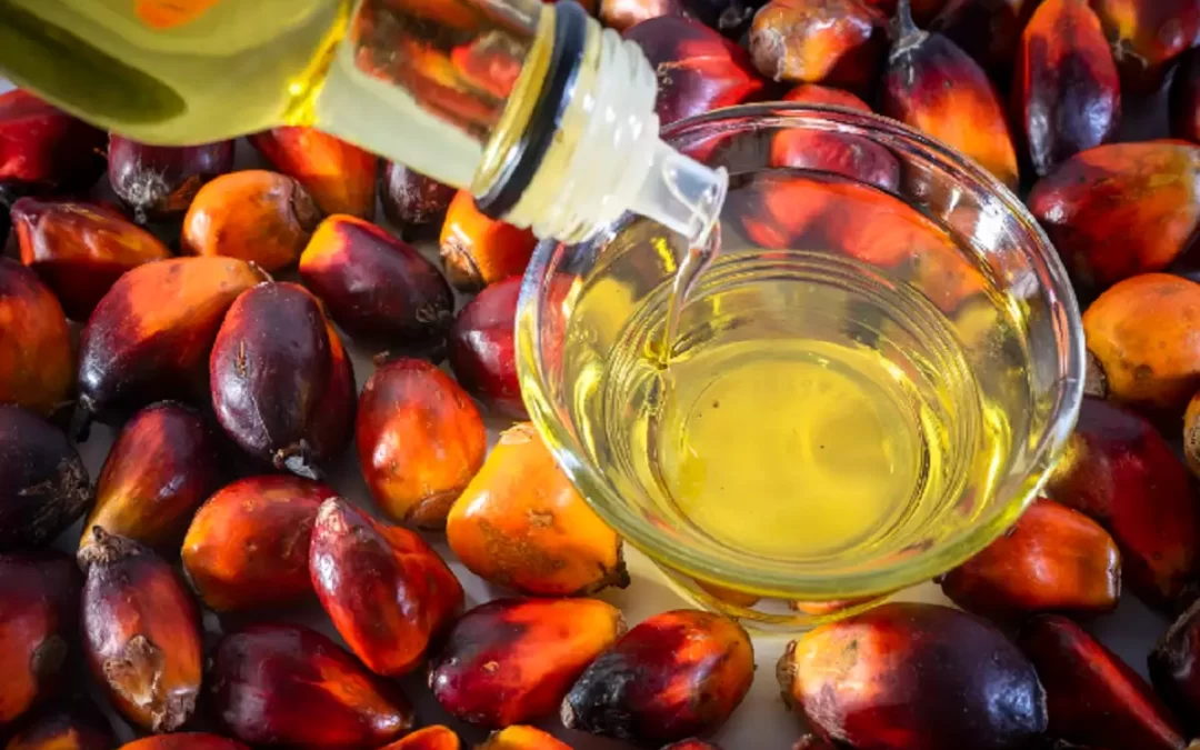 Palm Yağı İçeren Ürünler Neler?