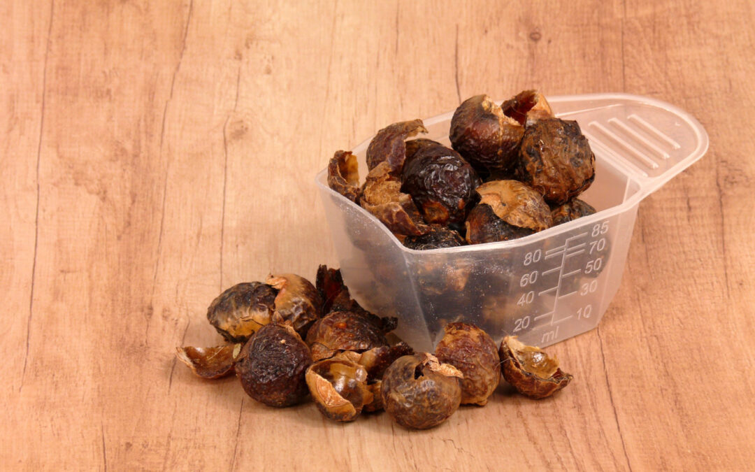 saponin içeren bitkiler