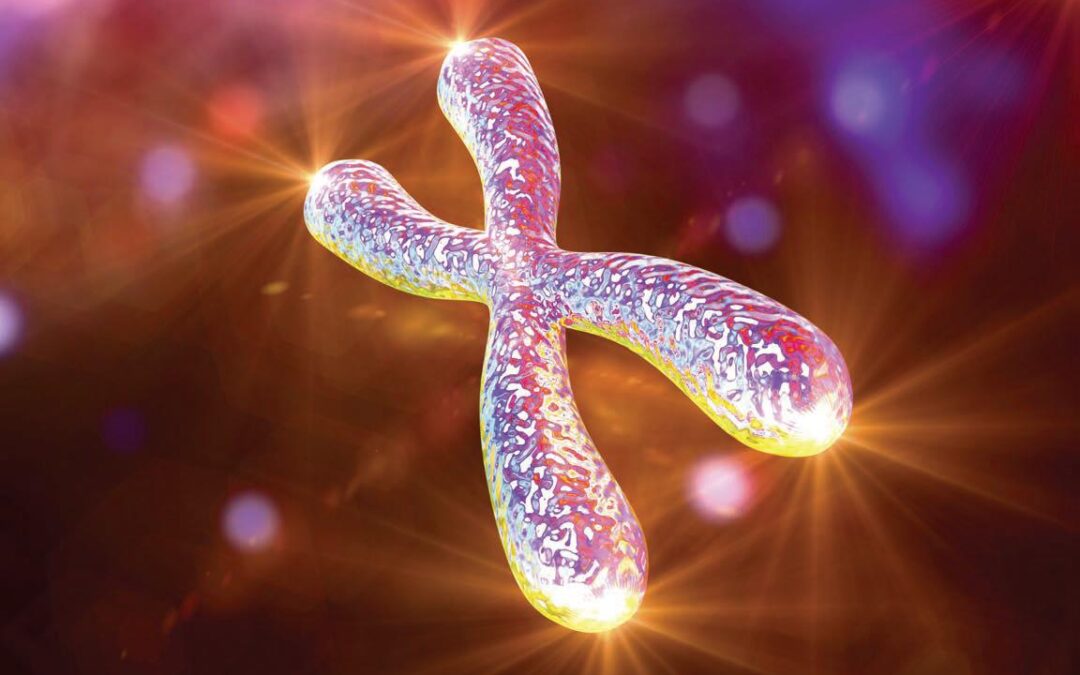 Telomer Uzatma Mümkün mü?