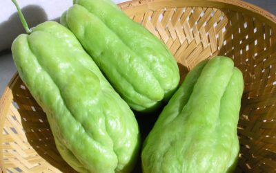 Diken Kabağı Nasıl Pişirilir? Nasıl Yenir?
