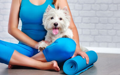 Köpek Yogası Nedir?