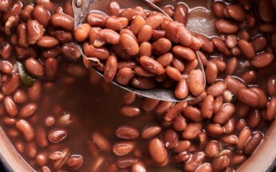 Pinto Fasulyesi Nedir? Özellikleri Neler?