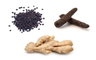 Trikatu Nedir? Ayurvedik Trikatu İçindekiler