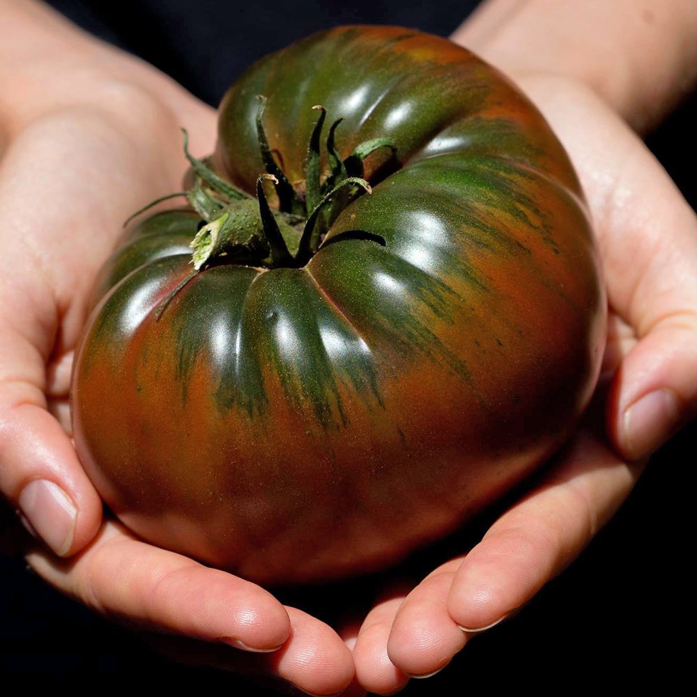 Black Krim Domates nasıl yetiştirilir