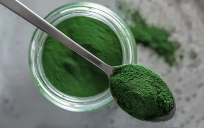 Klorella Ne İşe Yarar? Chlorella Takviyeleri Nasıl Kullanılır?