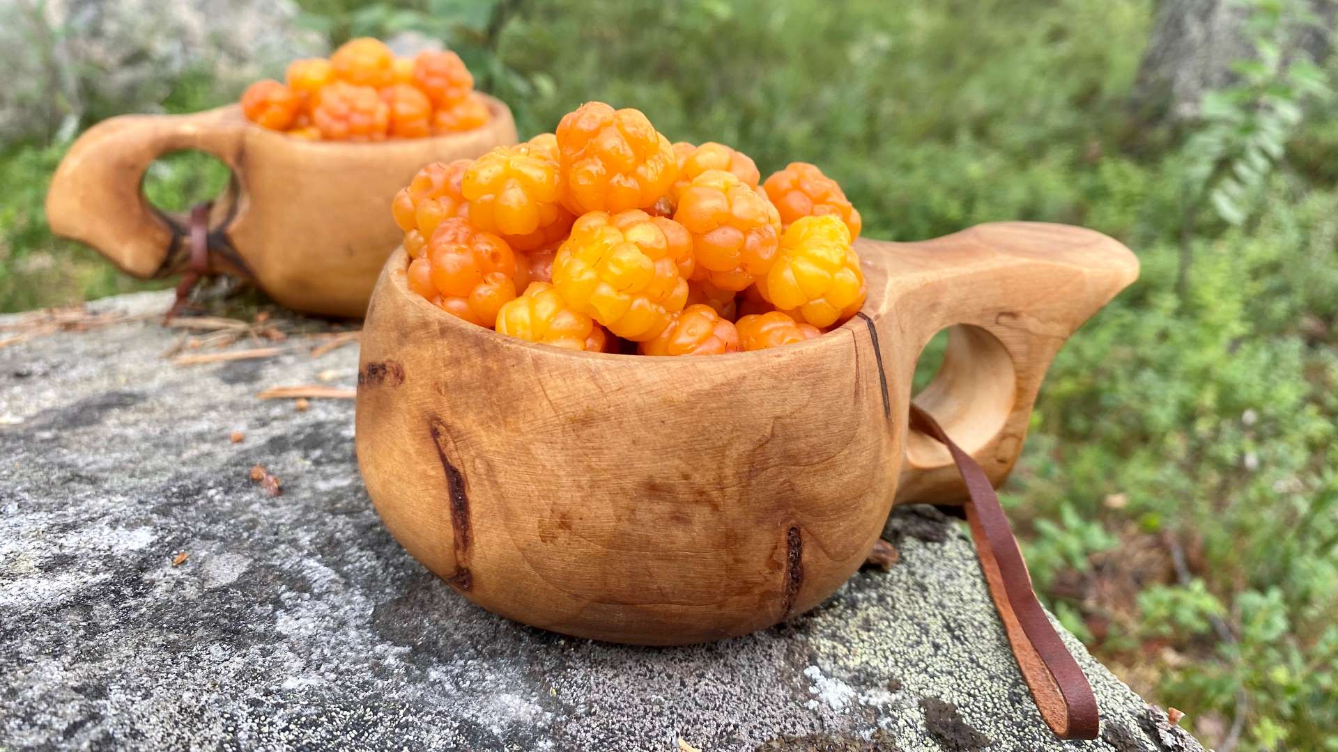 Cloudberry Rubus chamaemorus