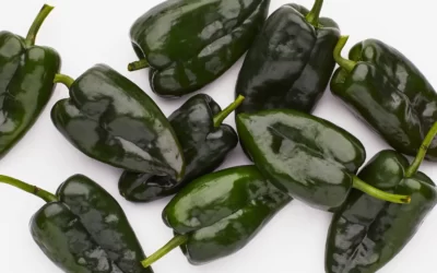 Poblano Biberi Acı mı? Nerede Yetişir?
