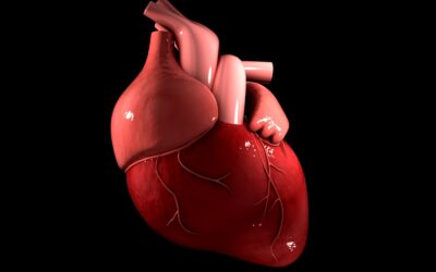 Wellens Sendromu Nedir?