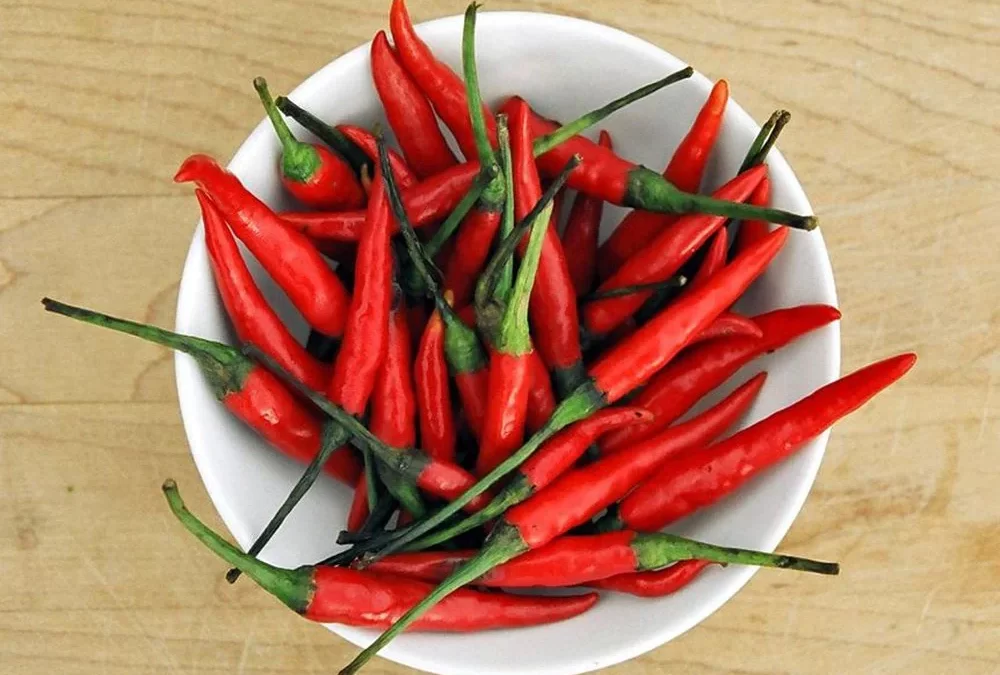 Kuş Gözü Biberi Nasıl Yetiştirilir?