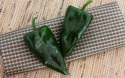 Ancho Poblano Biberi Acı mı? Özellikleri