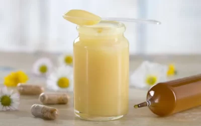 Arı Sütü Faydaları Neler? 1 Kilo Bala Ne Kadar Arı Sütü?