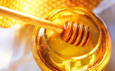Balda Prolin Nedir? Balda Prolin Değeri