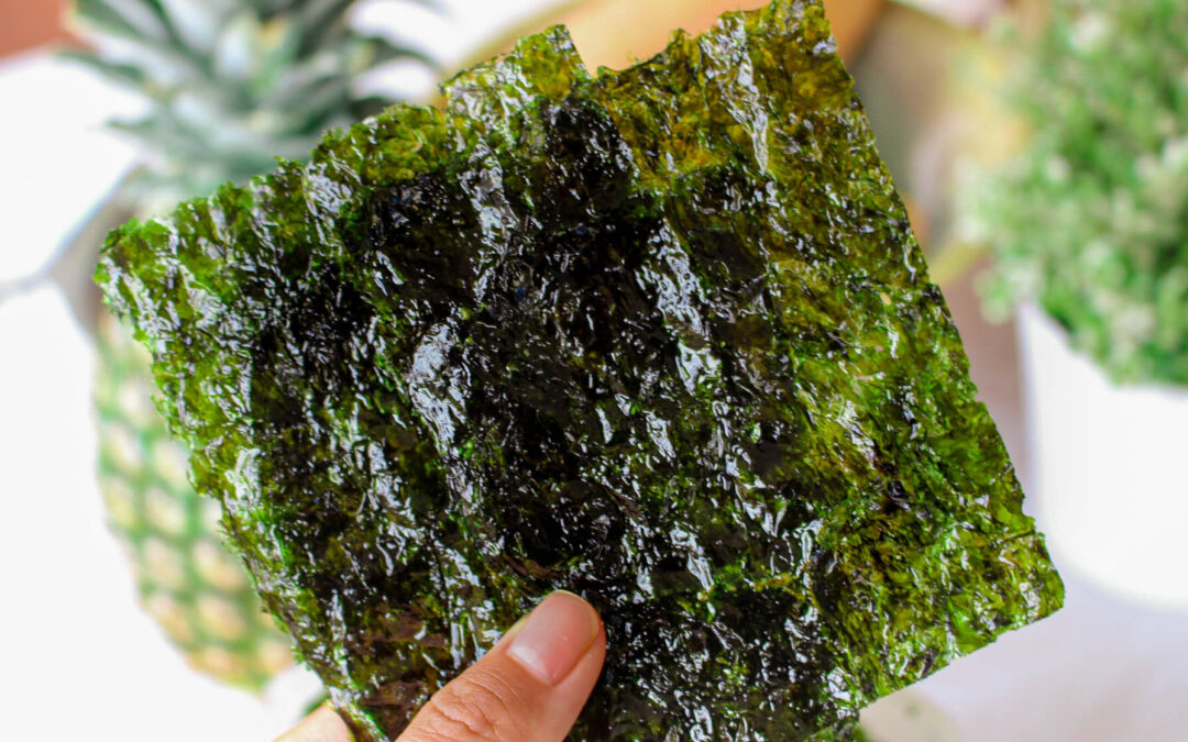 Deniz yosunu seaweed