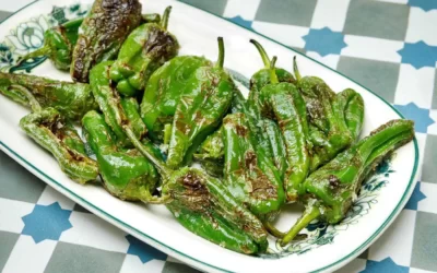 Padron Biber (Tatlı İspanyol Biberi) Özellikleri & Yetişme Koşulları