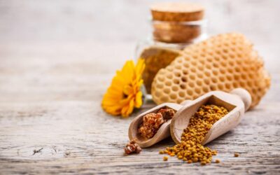 Propolis Nasıl Kullanılır? Propolis Tentürü, Merhemi