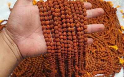 Rudraksha Mala Nedir? Rudraksha Ne İşe Yarar?