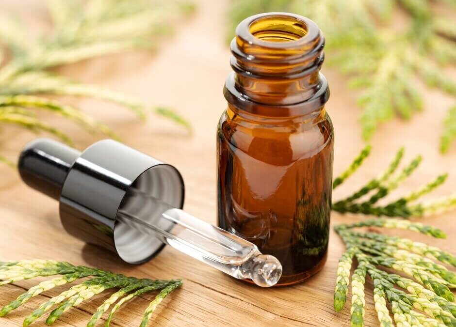 Selvi Yağı Nedir? Faydaları Nelerdir? Nasıl Kullanılır?