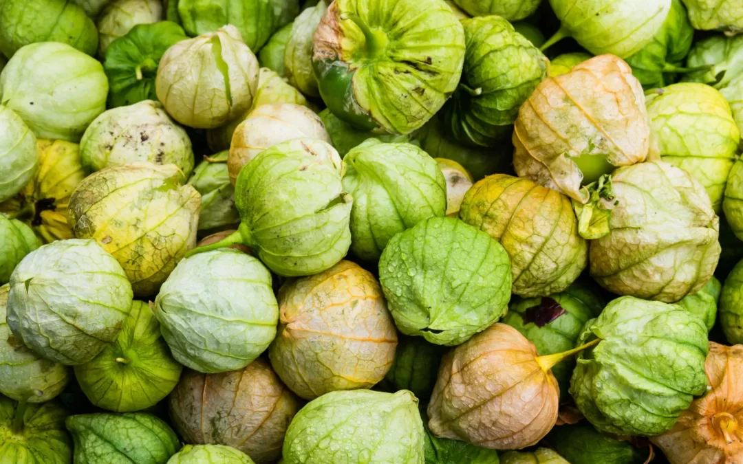 Tomatillo Nedir? Tomatillo Nasıl Yenir?