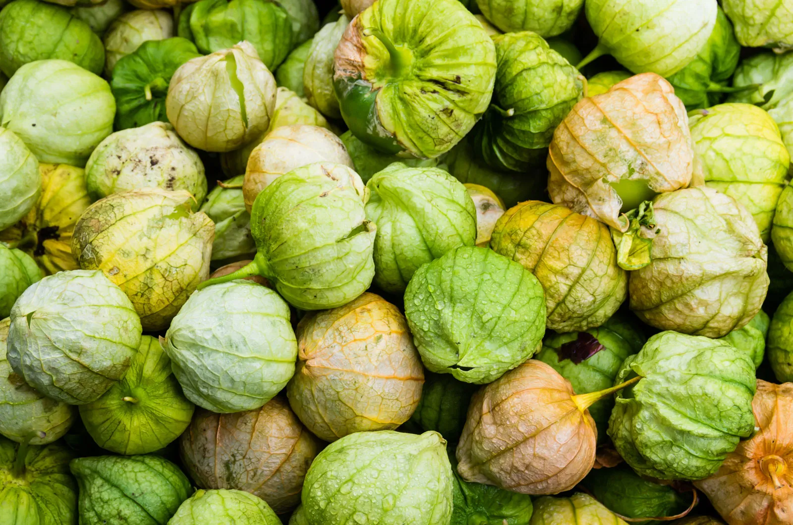 tomatillo nasıl yenir