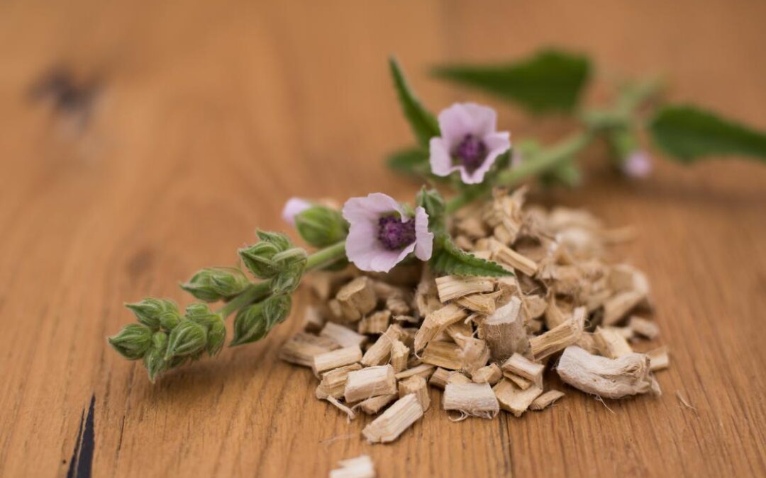 Althaea Officinalis Root Extract