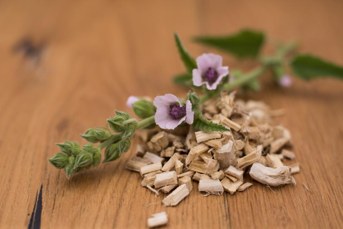 Althaea Officinalis Root Extract