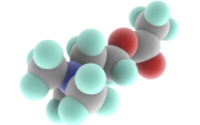 Asetilkolin Nedir?Asetilkolin Nasıl Arttırılır?