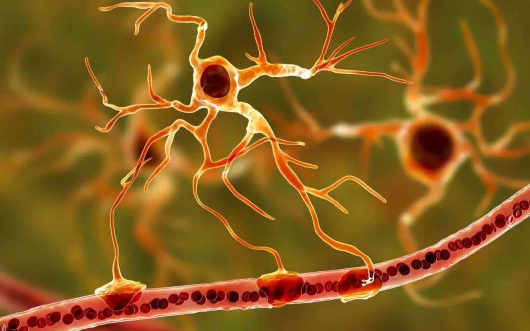 Glimfatik Sistemi nedir