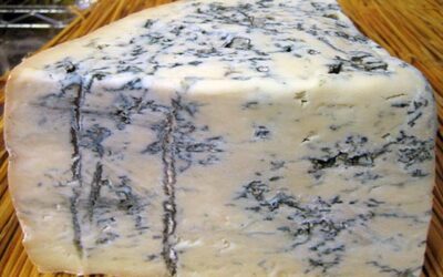 Gorgonzola Peyniri Nedir? Penicillium Glaucum