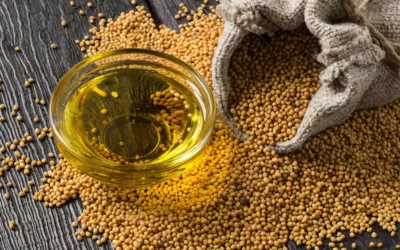 Hardal Yağı Nerelerde Kullanılır? Yüze Sürülür mü?