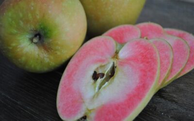 Hidden Rose Apple Nedir, Nerede Yetişir?