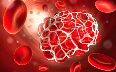 K2 Vitamini Kan Sulandırıcı ile Birlikte Kullanılır mı?