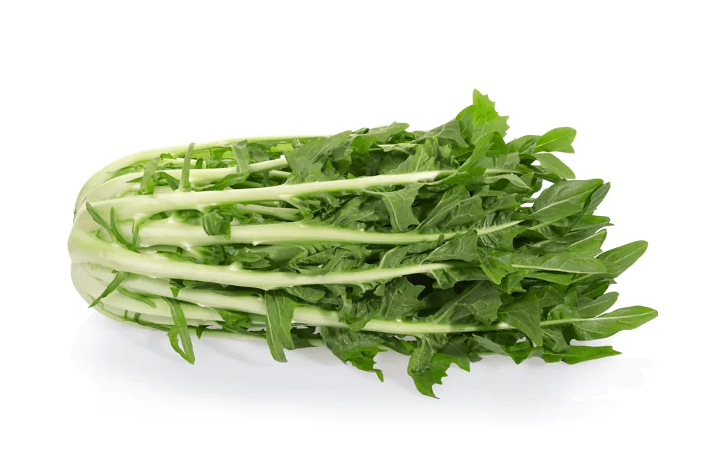 Rakula Otu faydaları