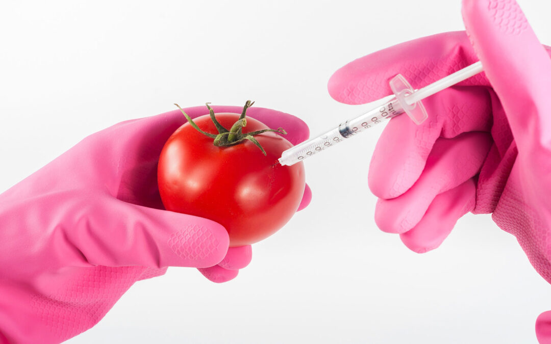 Sentetik Besinler ve Doğal Besinler