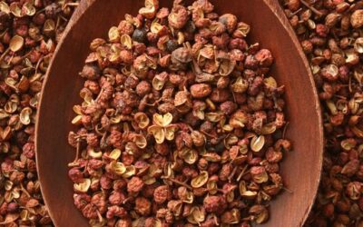 Sichuan biberi Nedir? Nerede Yetişir? Acı mı?