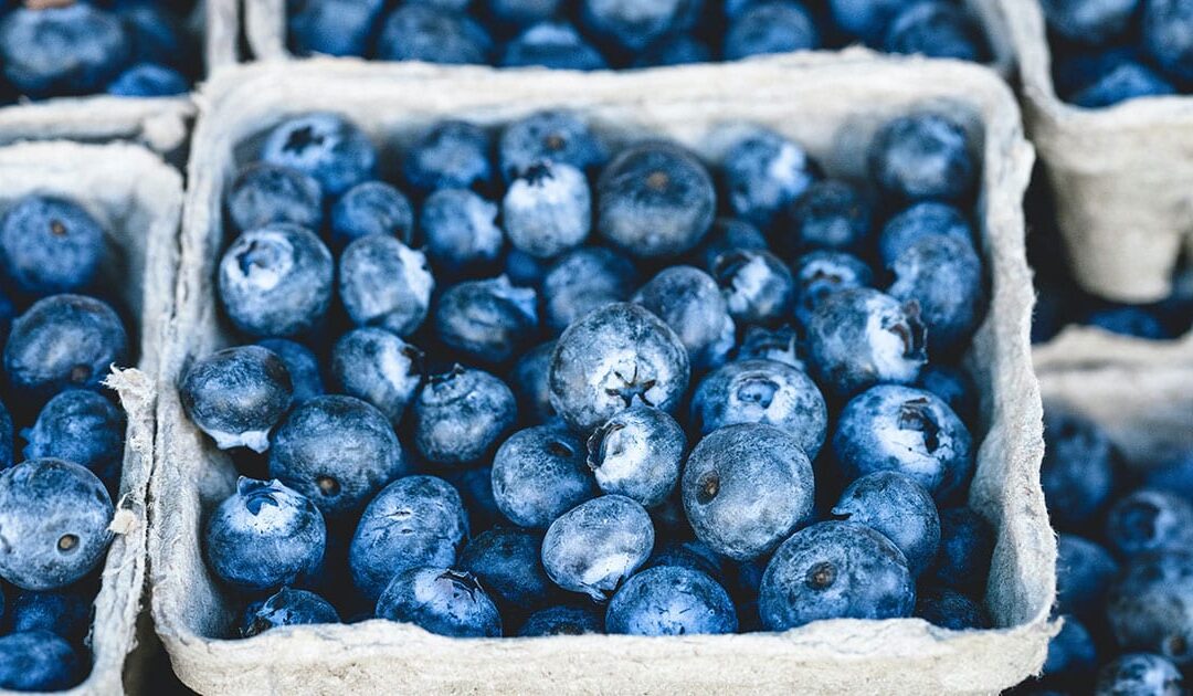 Yaban Mersini Ketojenik Diyete Uygun mu?