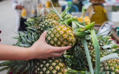 Ananas Nasıl Seçilir?