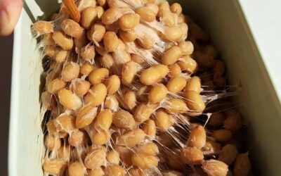 Natto Tarifi, Natto Tadı Nasıl?