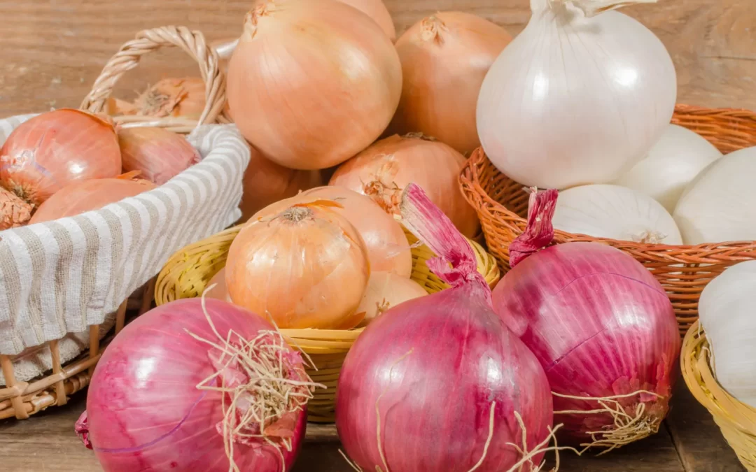 Soğan Faydaları, Kalorisi, Besin Değeri
