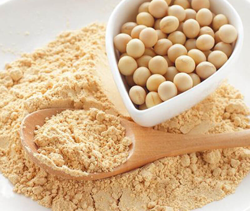 soya proteini nedir